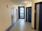 Hausflur mit Aufzug - 