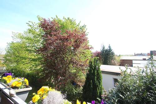 Aussicht vom Südbalkon - 