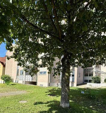 IMG_4556.jpeg - Ruhig gelegen - 1- Zimmer App - direkt an der Schweizer Grenze