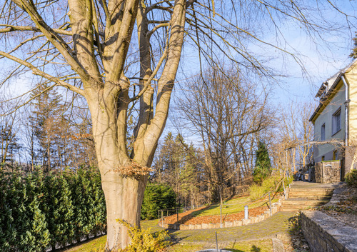 Weg von Straße zum Haus - 6 Zimmer Einfamilienhaus in Wipperfürth