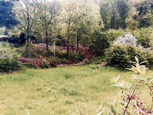 Steingarten zum Nachbarn - 