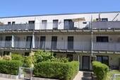 DSC_1267.JPG - 