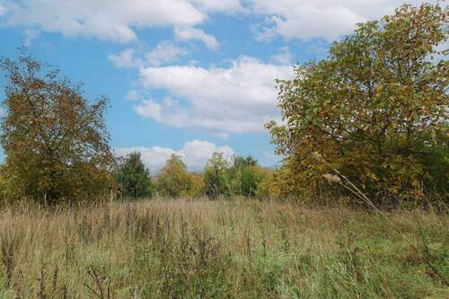 Nordansicht - Baugrundstück in ruhiger Lage von Reuth (Forchheim) - 506 m², ohne Bauzwang
