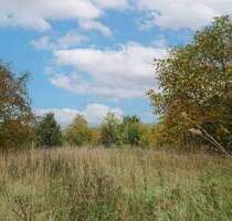 Baugrundstück in ruhiger Lage von Reuth (Forchheim) - 506 m², ohne Bauzwang