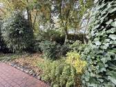 Blick in den Garten - 