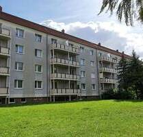 Mit Kind und Kegel ins neue Zuhause - Wilkau-Haßlau