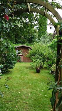 Garten im Sommer - 