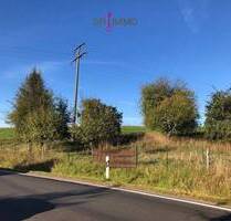 Großer sonniger Obstgarten in Obergeckler