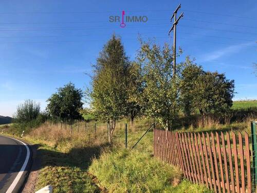 Bild 3 - Grundstück in Obergeckler