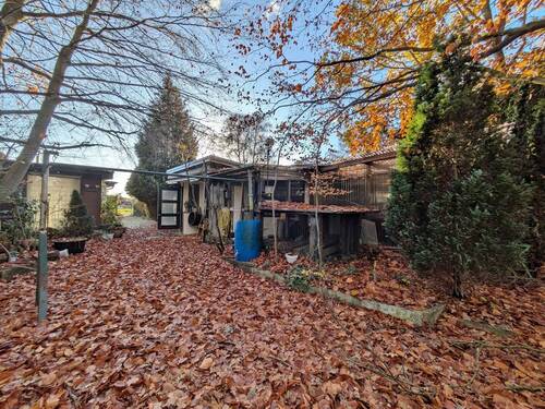 hinterer Grundstücksbereich - 