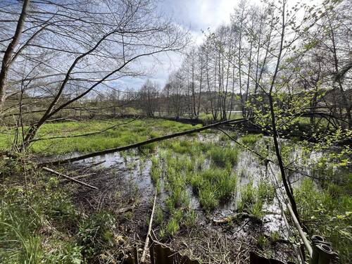Große Weiher - Grundstück zum Kaufen in Deining / Labermühle