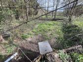 Mittlerer Weiher - 