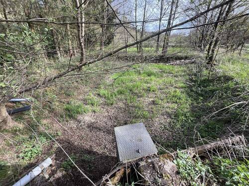 Mittlerer Weiher - 