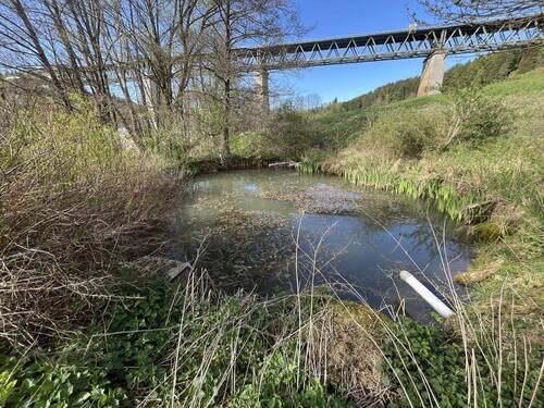 Kleiner Weiher - 