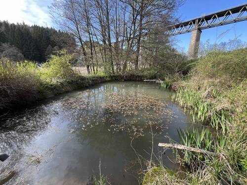 Kleiner Weiher - 