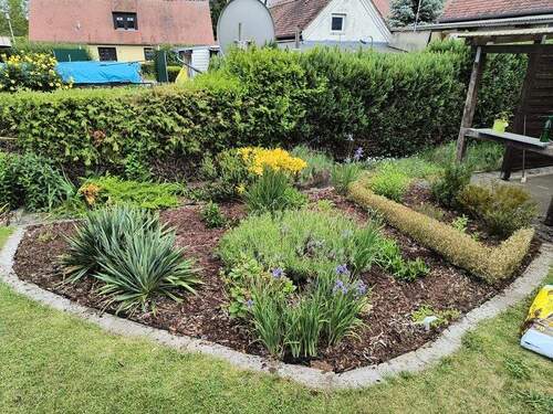 IMG_20250607_143120943_HDR - 