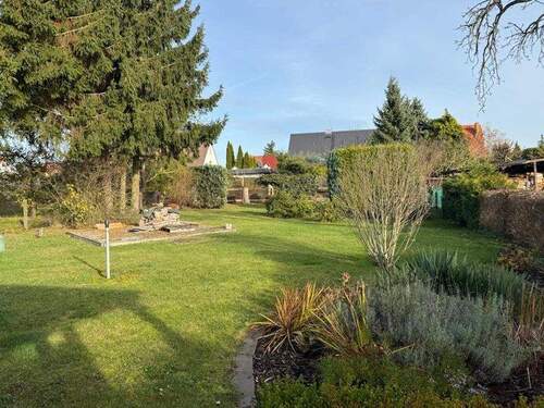 WhatsApp Image 2025-11-13 at 19.01.53 - 4 Zimmer Doppelhaushälfte zum Kaufen in Ueckermünde