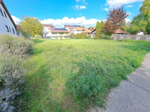 Blick von Süden - Grundstück zum Kaufen in Bad Wimpfen