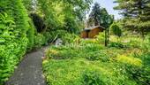 Garten 1 - 