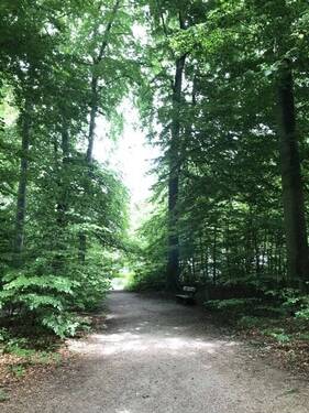 Volksdorfer Wald - 