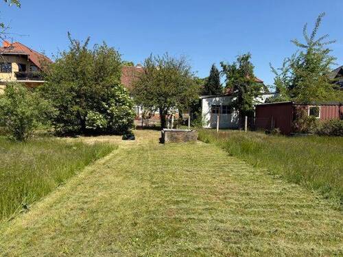 Garten - Blick nach vorn.jpg - 