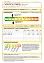Energieausweis - 
