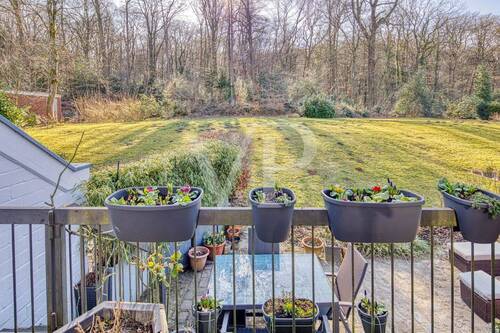 Ausblick - 