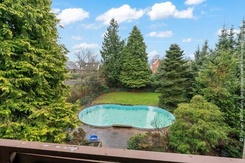 ... Blick in den Garten mit prächtigem Planzenbestand und Pool. - 