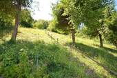 DSC_0211.JPG - 