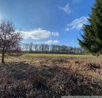 Großzügiges Mehrfamilienhaus + Blockhütte auf großem Grundstück ! - Hamburg Lemsahl-Mellingstedt