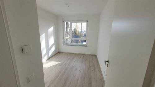 Zimmer - 