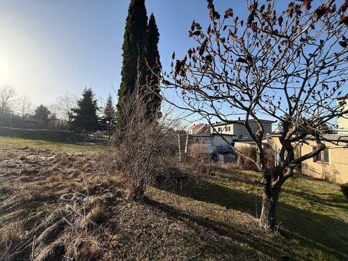 IMG_6979 - 4 Zimmer Einfamilienhaus in Ballenstedt