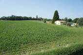Blick nach Südwest - 