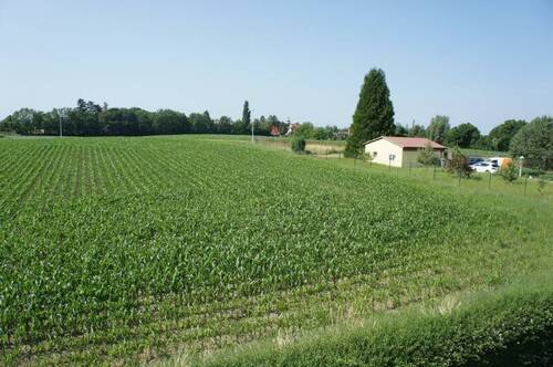 Blick nach Südwest - 