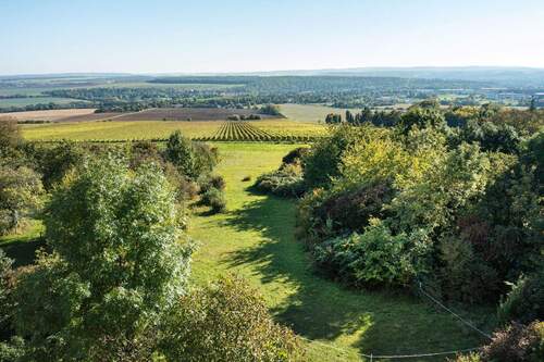 Blück übers Weingut Weimar - Sonderpreis! Die ersten drei Käufer sparen 10 %! 72 m² Dachterrasse mit Blick über die Kulturstadt - Fahrstuhl - Erstbezug