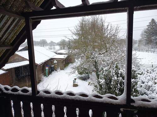 Blick in den Garten - 