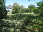 Garten, Grundstück - 3 Zimmer Einfamilienhaus zum Kaufen in Hafenlohr