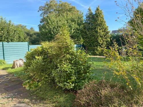 Garten II - Einfamilienhaus mit 120,00 m² in Duisburg / Buchholz zum Kaufen