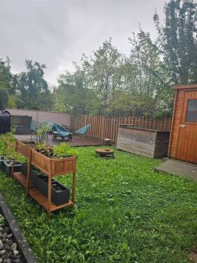 Blick in den Gemeinschaftsgarten - 