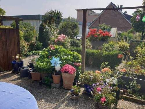 Garten im Sommer - 