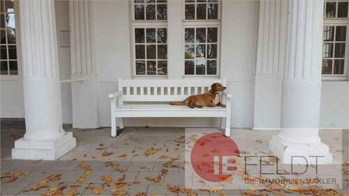 Schlossherr - Prpvisionsfrei! Geschäftshaus mit Wohnungen in attraktiver Lage