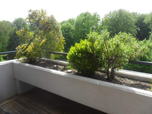 15-Westbalkon.JPG - 