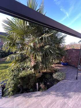 Blick in den Garten - 