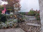 Garten Rundgang Schwimmteich - 