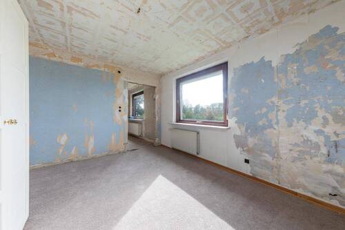 ... zur Gestaltung! - 