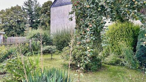 Gartenbereich - 