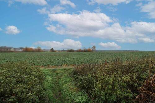 Feld hinter dem Haus - 