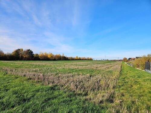 Schmedenstedt (2).jpg - 5 Zimmer Einfamilienhaus in Peine