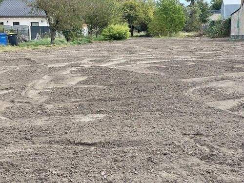 Baugrundstück beräumt I.jpg - Grundstück in Panketal