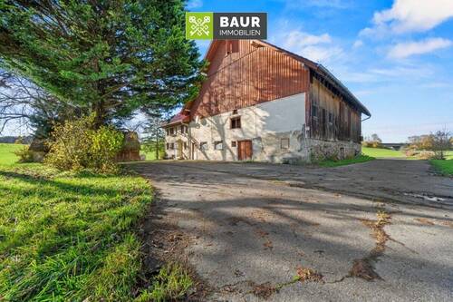 Einfahrt_bearb_web - 6 Zimmer Bauernhaus, Landhaus zum Kaufen in Wangen im Allgäu